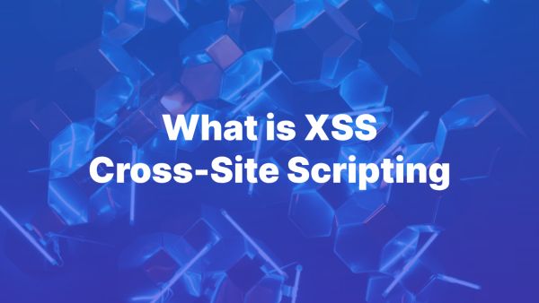 Understanding XSS: Cross-Site Scripting Attacks