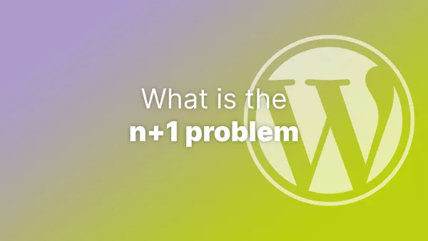 What is the n+1 problem? (WordPress edition)