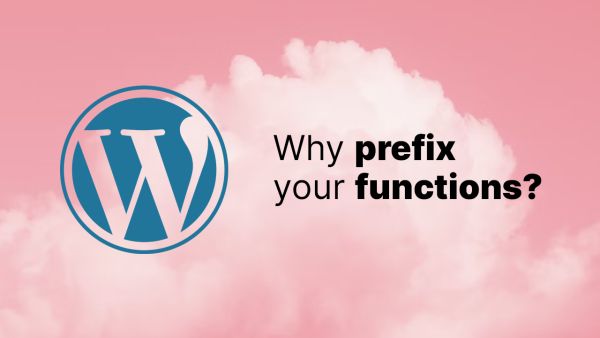 Why should you prefix functions in WordPress themes and plugin development?